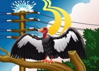 Illustration of condor on branch near power lines